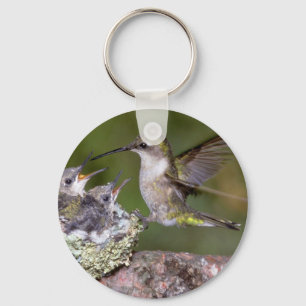 Rubin-throated Kolibri (weiblich) mit Jungen Schlüsselanhänger