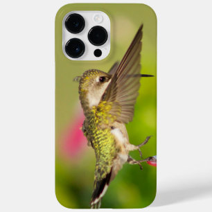 Rubinkehlkolibri  Case-Mate iPhone 14 pro max hülle