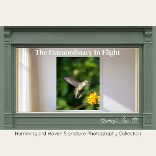Rubinkehlkolibri-Fine-Art-Fotografie Poster