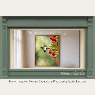 Rubinkehlkolibri-Fine-Art-Fotografie  Poster