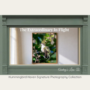 Rubinkehlkolibri-Fine-Art-Fotografie Poster