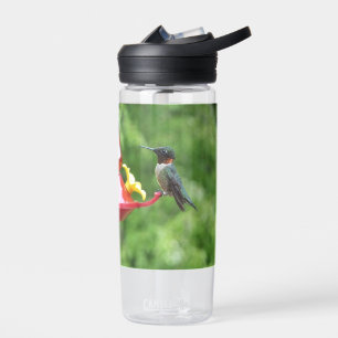 Rubinkehlkolibri-Fotografie Trinkflasche