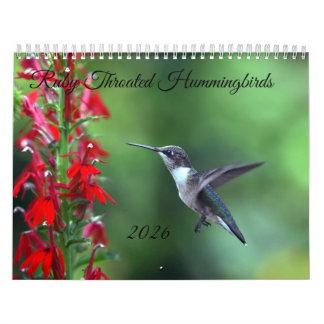 Rubinkehlkolibri-Kalender 2026 Kalender