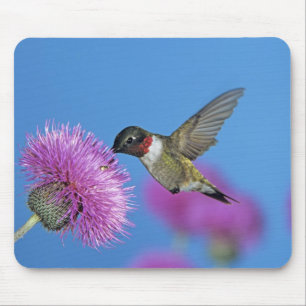 Rubinkehlkolibri Mousepad