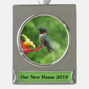 Rubinkehlkolibri-Vogel-Fotografie Banner-Ornament Silber