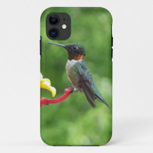 Rubinkehlkolibri-Vogelfotografie Case-Mate iPhone Hülle