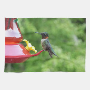 Rubinkehlkolibri-Vogelfotografie Handtuch