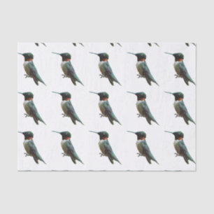 Rubinkehlkolibri-Vogelfotografie Seidenpapier