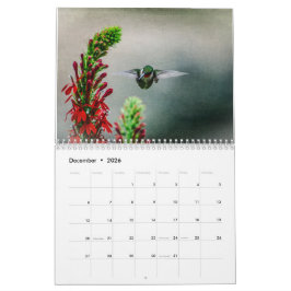 Rubinkehlkolibris Kalender