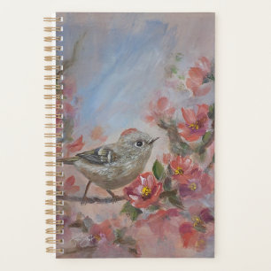 Rubinkönig-Vogel Planer