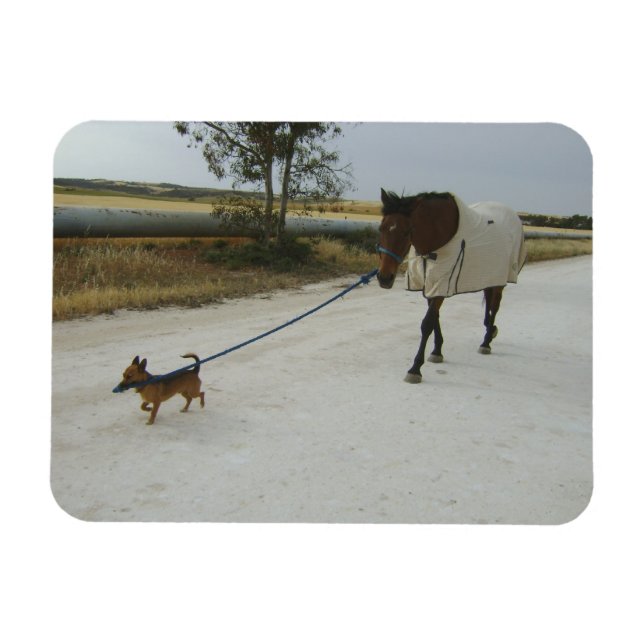 Rubrik für Zuhause Magnet (Horizontal)