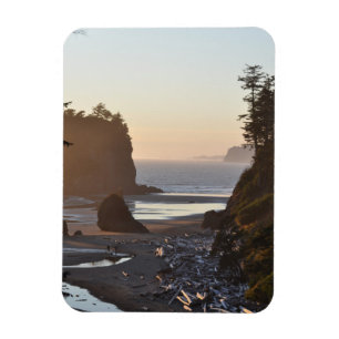 Ruby Beach am Pazifik Magnet