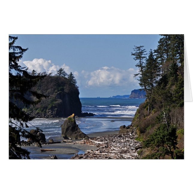 Ruby Beach auf der Olympischen Halbinsel, Washingt (Vorderseite (Horizontal))