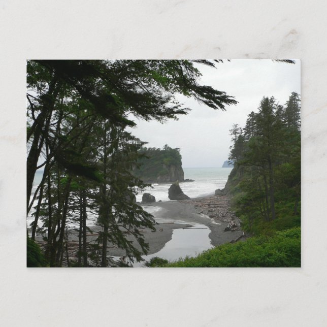 Ruby Beach Postcard Postkarte (Vorderseite)
