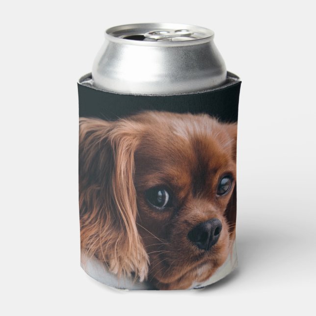 Ruby Cavalier King Charles Spaniel Dog Dosenkühler (Kanne Vorderseite)