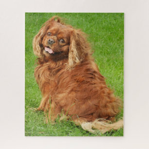 Ruby Cavalier King Charles Spaniel Dog Jigsaw Puzz
