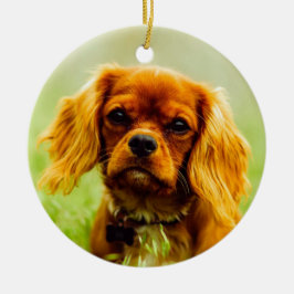 Ruby Cavalier King Charles Spaniel Dog Keramik Ornament
