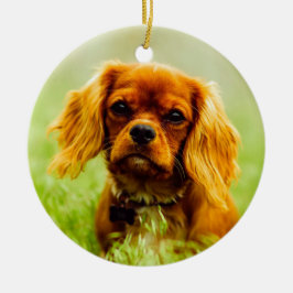 Ruby Cavalier King Charles Spaniel Dog Keramik Ornament