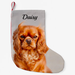 Ruby Cavalier King Charles Spaniel Dog Kleiner Weihnachtsstrumpf