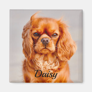Ruby Cavalier King Charles Spaniel Dog Magnet