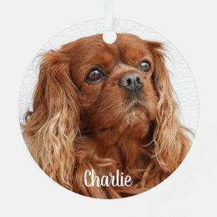 Ruby Cavalier King Charles Spaniel Dog Ornament Aus Metall