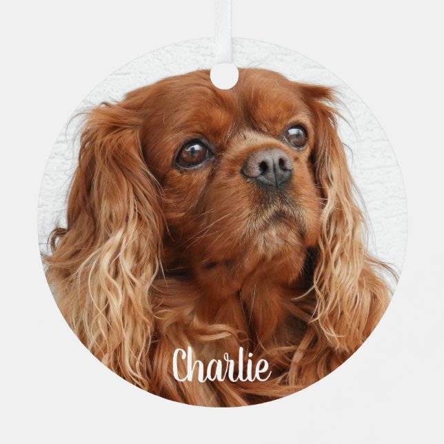 Ruby Cavalier King Charles Spaniel Dog Ornament Aus Metall (Rückseite)