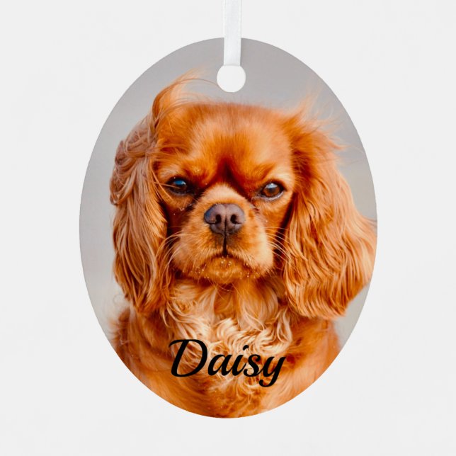 Ruby Cavalier King Charles Spaniel Dog Ornament Aus Metall (Vorderseite)