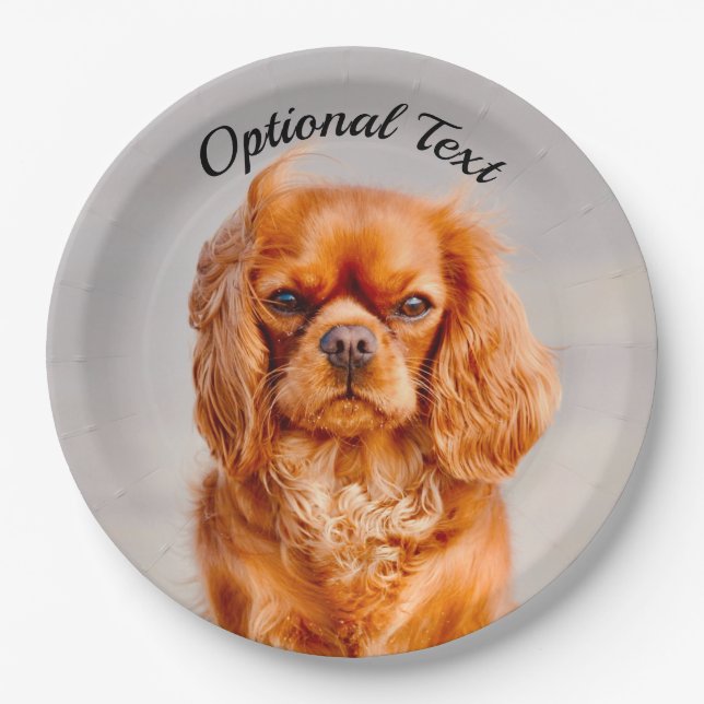 Ruby Cavalier King Charles Spaniel Dog Pappteller (Vorderseite)