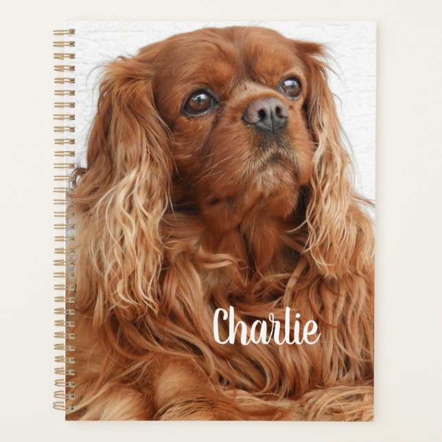 Ruby Cavalier King Charles Spaniel Dog Planer (Vorderseite)