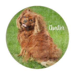 Ruby Cavalier King Charles Spaniel Dog Schneidebrett