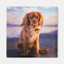 Ruby Cavalier King Charles Spaniel in the sunset Magnet