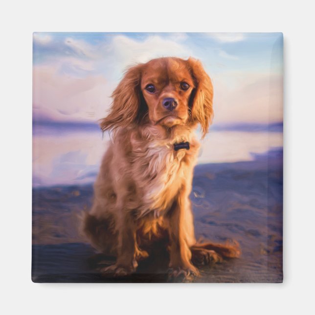 Ruby Cavalier King Charles Spaniel in the sunset Magnet (Vorne)