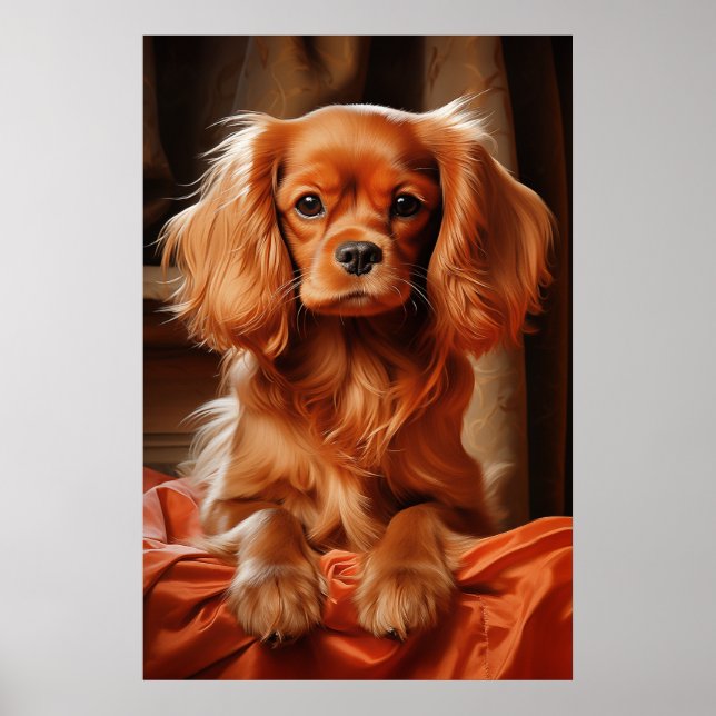 Ruby Cavalier King Charles Spaniel Poster (Vorne)