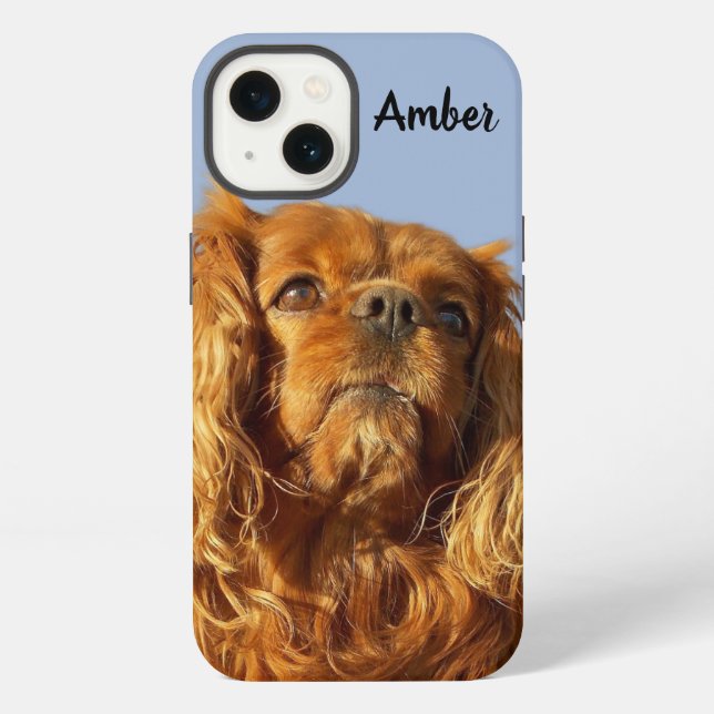 Ruby Cavalier King Charles Spaniel Puppy Dog Blue iPhone Hülle (Rückseite)