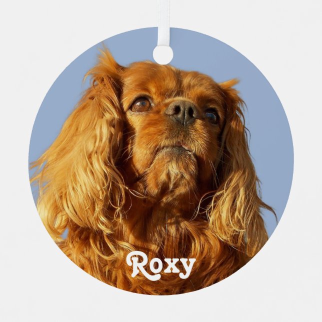 Ruby Cavalier King Charles Spaniel Puppy Dog Blue Ornament Aus Metall (Vorderseite)