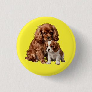 Ruby Cavalier Spaniel und ihr Blenheim-Welpe Button