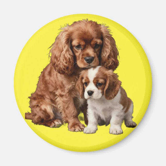 Ruby Cavalier Spaniel und ihr Blenheim-Welpe Magnet (Vorne)