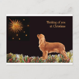 Ruby Christmas Cavalier Feiertagspostkarte