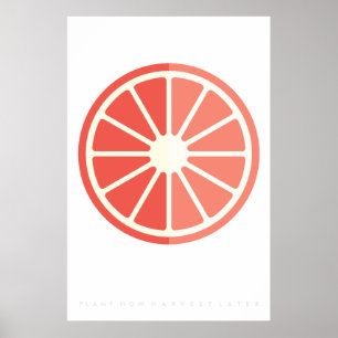 Ruby Citrus Retro Fruit Poster 60er 70er Jahre Zit
