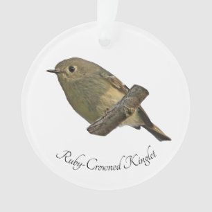Ruby-Crowned Kinglet