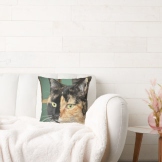 Ruby, die Sechsjährige Tortie und White Kissen