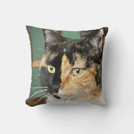 Ruby, die Sechsjährige Tortie und White Kissen