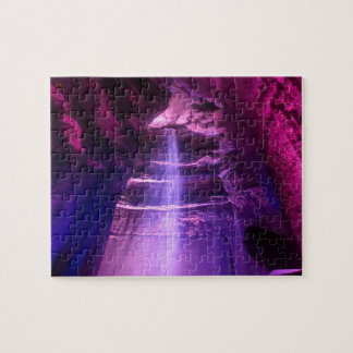 Ruby Falls Tennessee