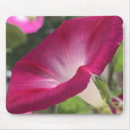 Ruby Red Morning Glory Close-up Mousepad