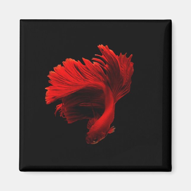 Ruby Red Siamese Fighting Fish Magnet (Vorne)