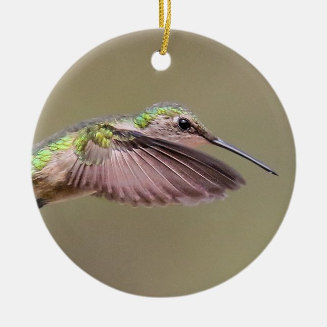 Ruby Red Throat Hummingbird Ornament (Vorne)