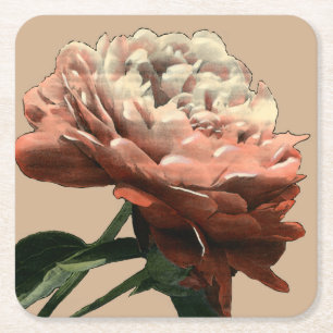 Ruby-Rote Rose mit weißen Akzenten Rechteckiger Pappuntersetzer