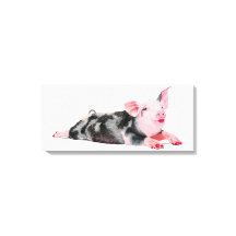 Ruby, Schwein mit Lipstick-Druck auf Leinwand