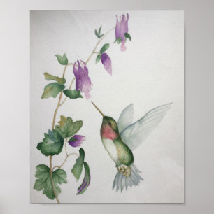 Ruby=throasted Hummingbird Garden Fuchsia Poster