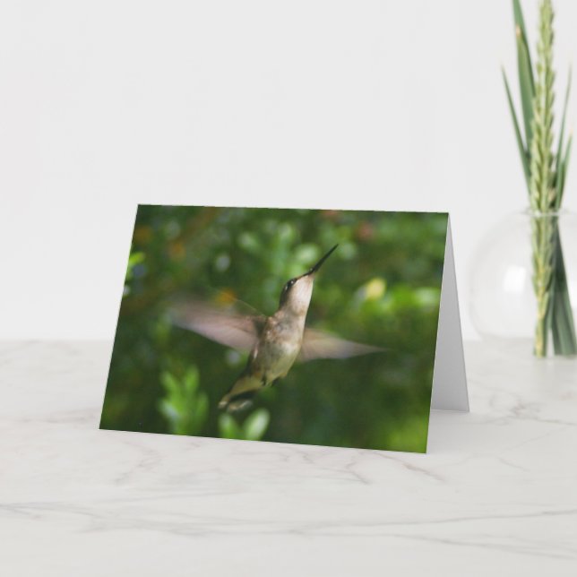Ruby Throat Hummingbird Card Karte (Vorderseite)